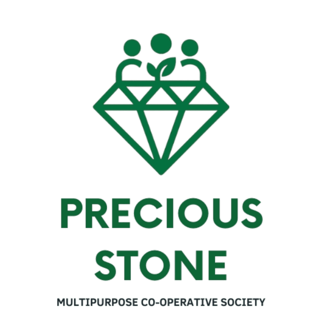 A group of Precious Stone Cooperative members during a meeting